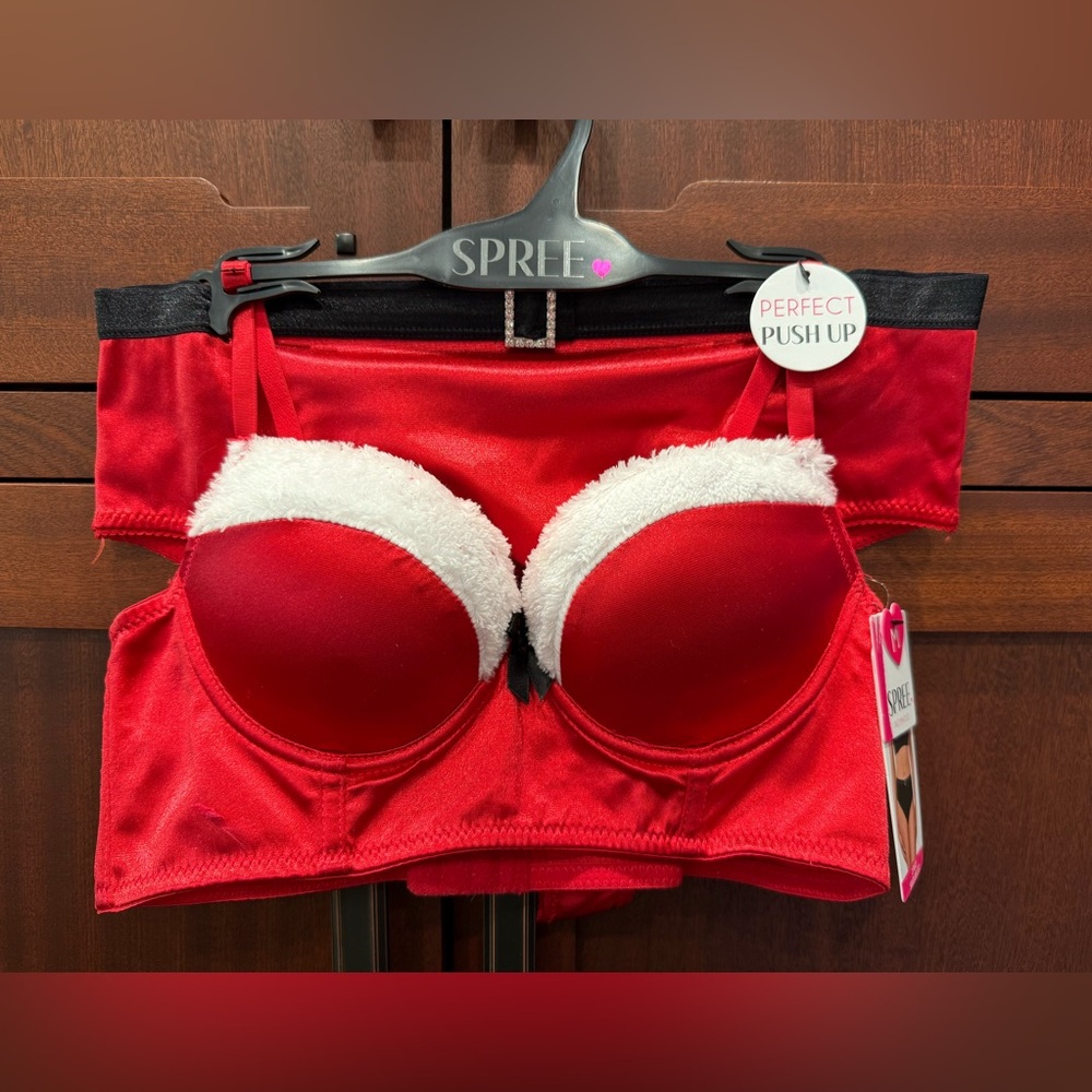 Spree Intimates NWT Sexy Santa Red Push-Up Bra White Fur Trim & Panties (I076)